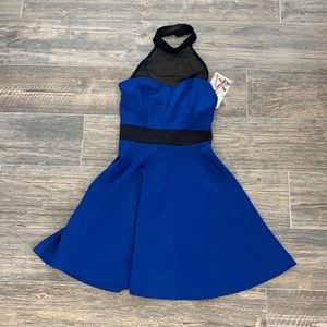 Lulus Royal Blue skater dress